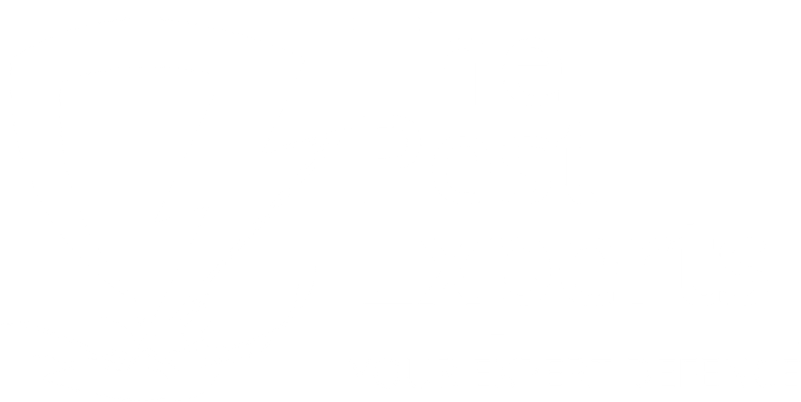 Pest Experts Jaipur