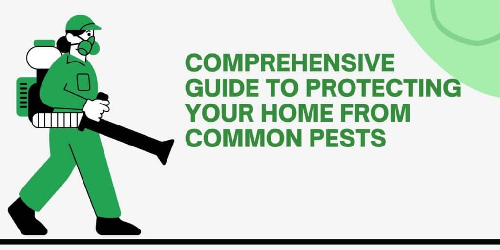 Comprehensive Guide to Protecting Your Home from Common Pests